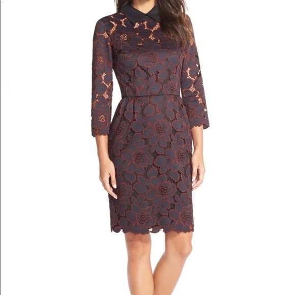 Nwt Tina Turk $388 Killian Collared Dress Sz 10